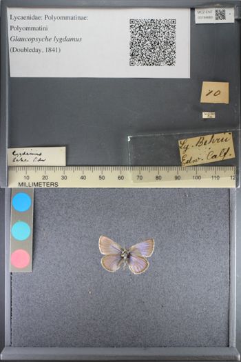 Media type: image;   Entomology 194680
